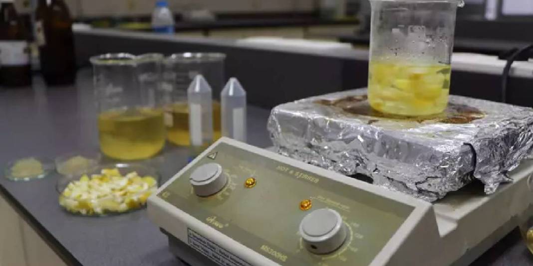 Doğal atıktan süper emici malzeme: Ağaç kavunu kabukları hidrojele dönüştü 2